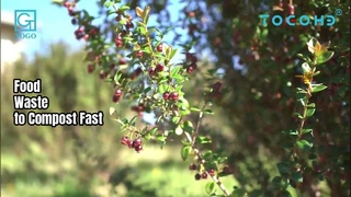 کمپوست 50 کیلوگرمی مواد غذایی زباله 24 ساعته